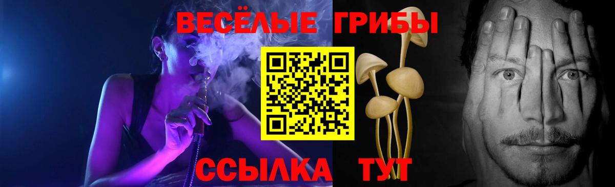 Алатырь  Псилоцибиновые грибы прущие грибы  Вход с VPN  как найти наркотики  Галлюциногенные грибы Cubensis 